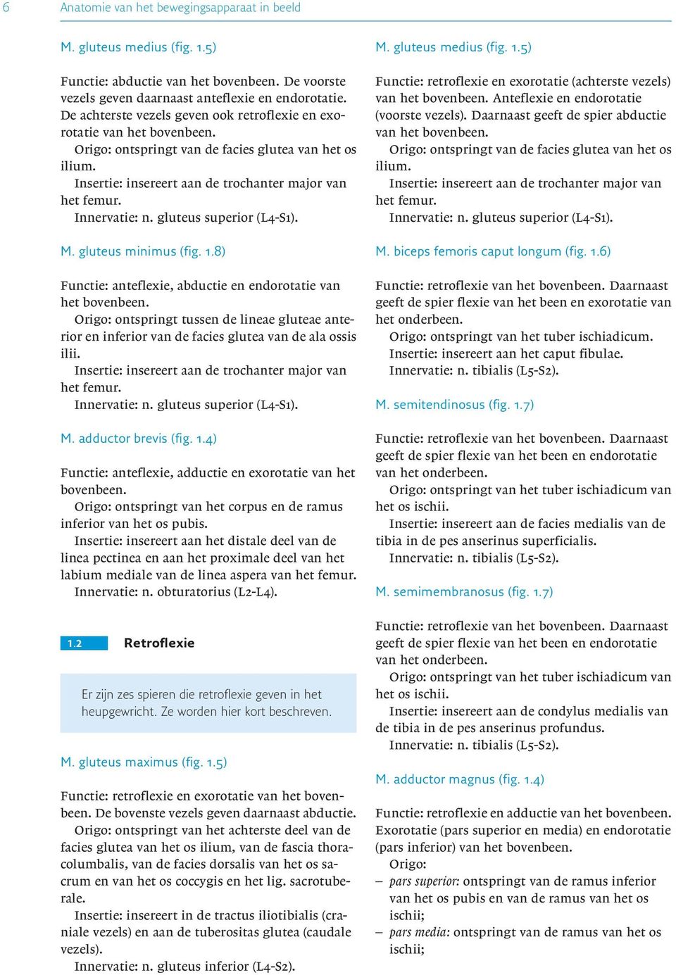 8) Functie: anteflexie, abductie en endorotatie van het Origo: ontspringt tussen de lineae gluteae anterior en inferior van de facies glutea van de ala ossis ilii. M. adductor brevis (fig. 1.