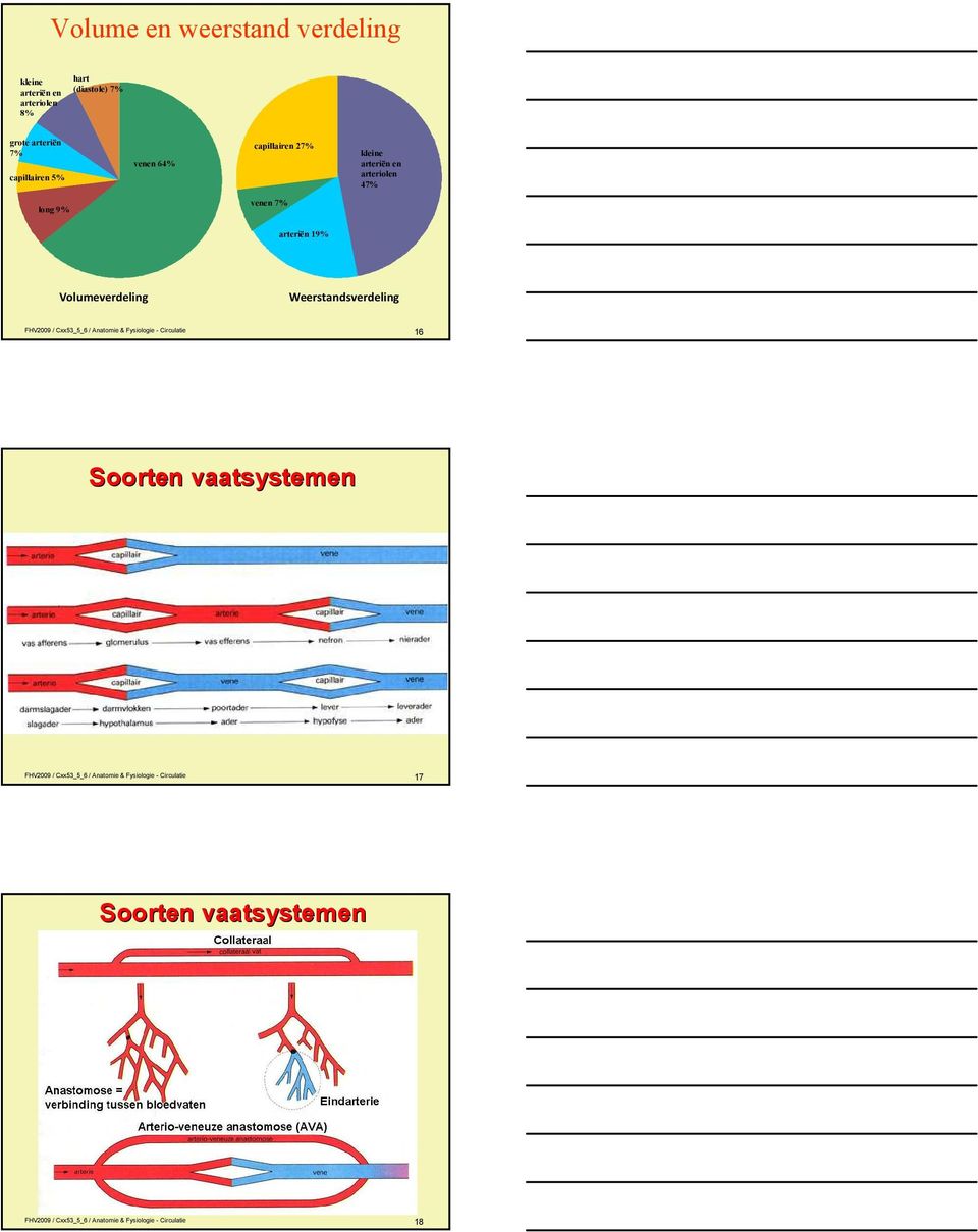 Weerstandsverdeling FHV2009 / Cxx53_5_6 / Anatomie & Fysiologie - Circulatie 16 Soorten vaatsystemen FHV2009 /