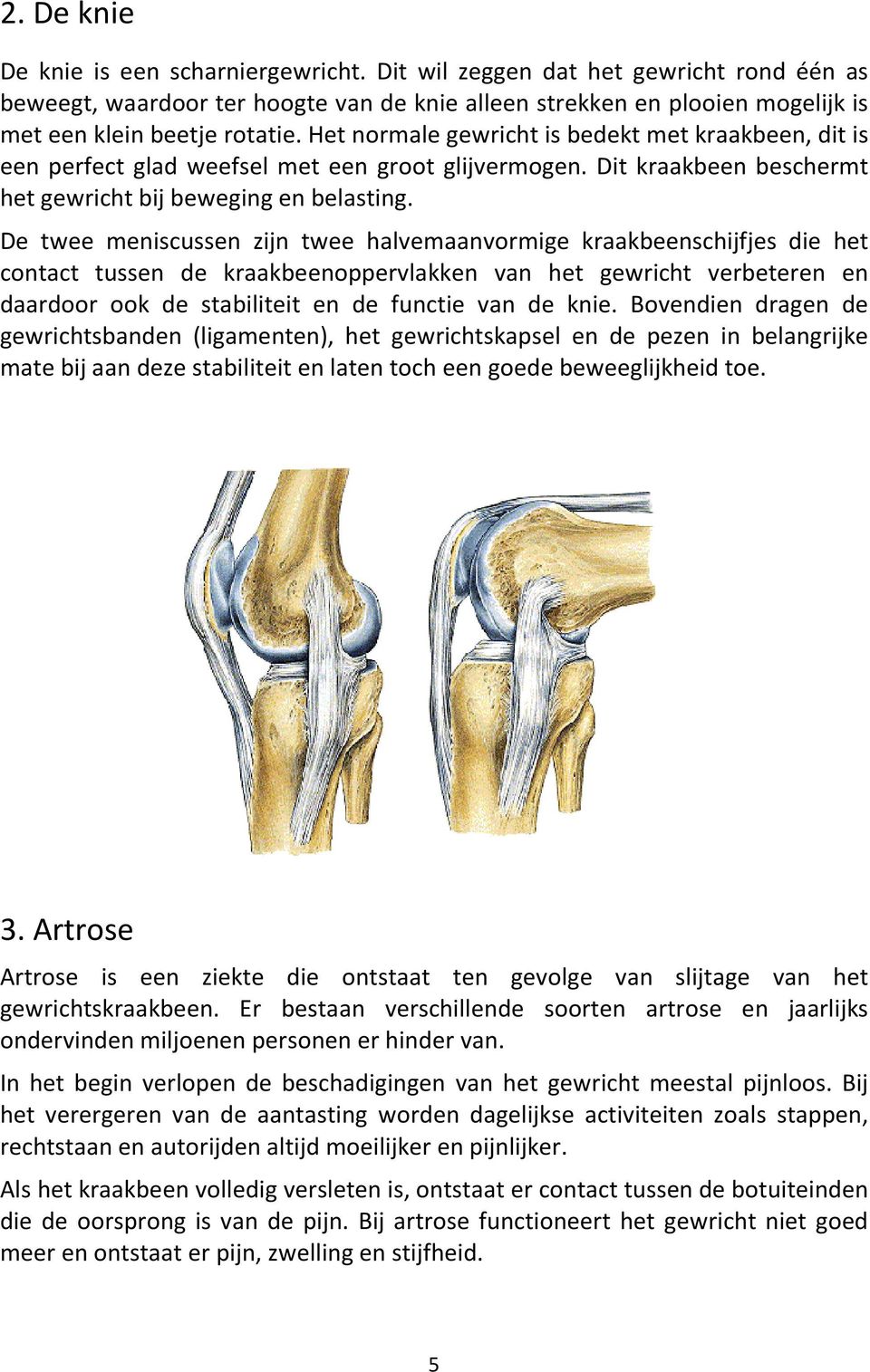 De twee meniscussen zijn twee halvemaanvormige kraakbeenschijfjes die het contact tussen de kraakbeenoppervlakken van het gewricht verbeteren en daardoor ook de stabiliteit en de functie van de knie.