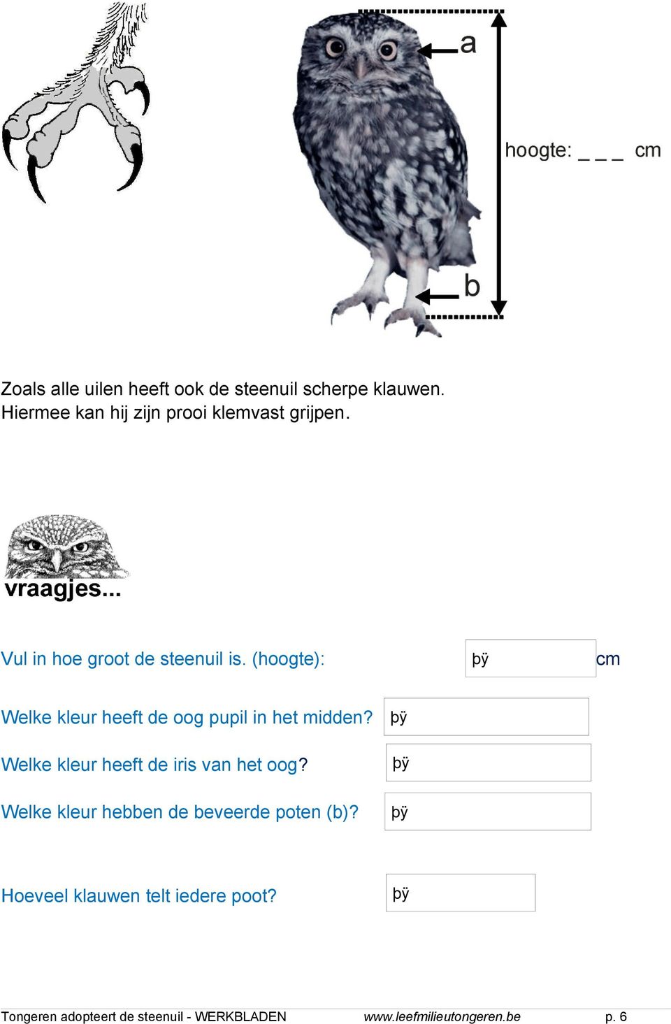 (hoogte): cm Welke kleur heeft de oog pupil in het midden?