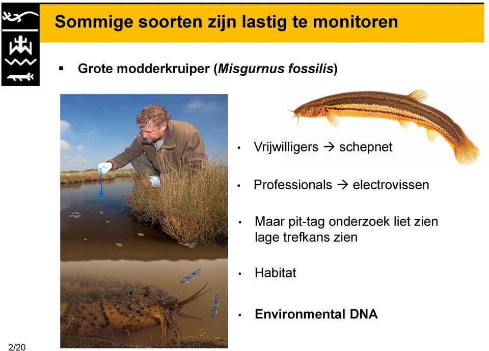 schepnet Professionals electrovissen Maar pit-tag