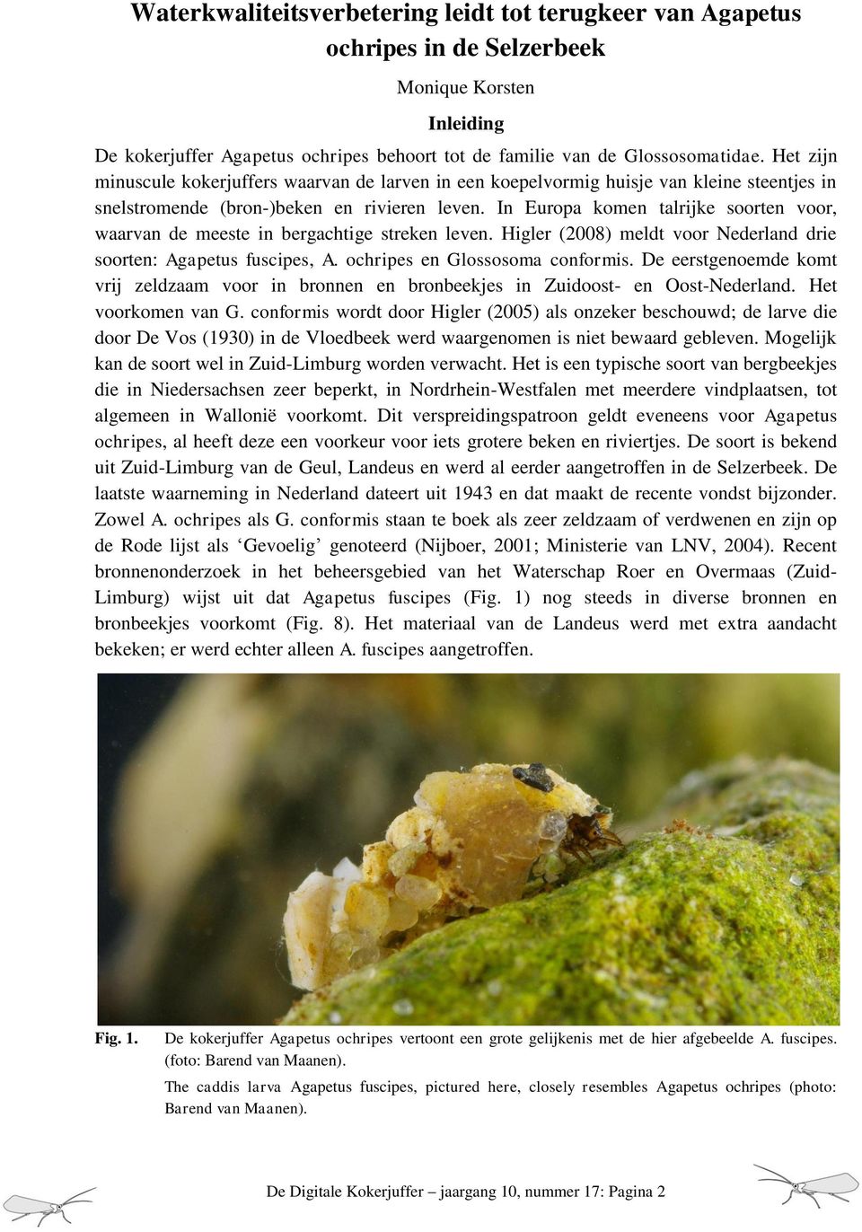 In Europa komen talrijke soorten voor, waarvan de meeste in bergachtige streken leven. Higler (2008) meldt voor Nederland drie soorten: Agapetus fuscipes, A. ochripes en Glossosoma conformis.