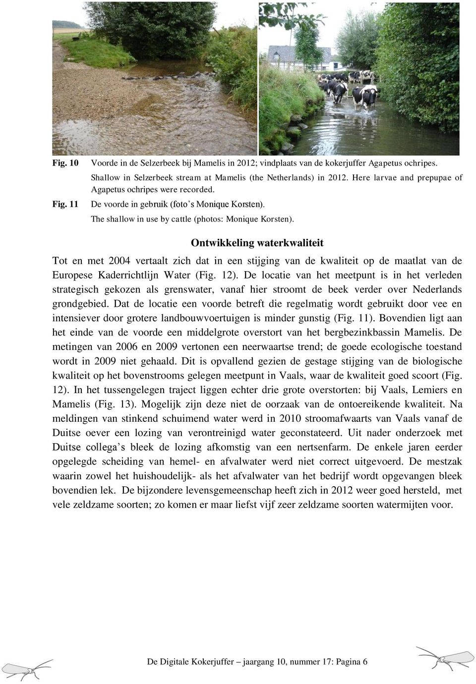 Ontwikkeling waterkwaliteit Tot en met 2004 vertaalt zich dat in een stijging van de kwaliteit op de maatlat van de Europese Kaderrichtlijn Water (Fig. 12).