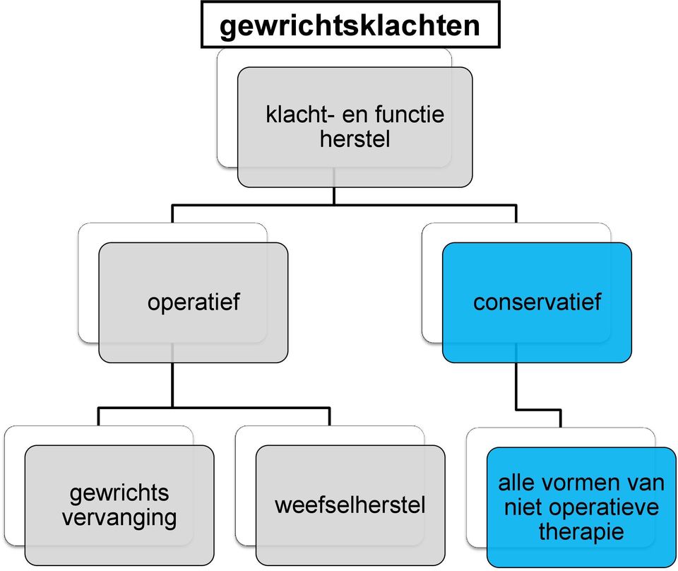 conservatief gewrichts vervanging