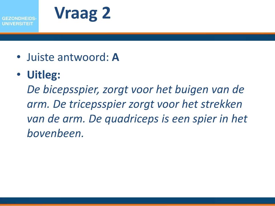 De tricepsspier zorgt voor het strekken van