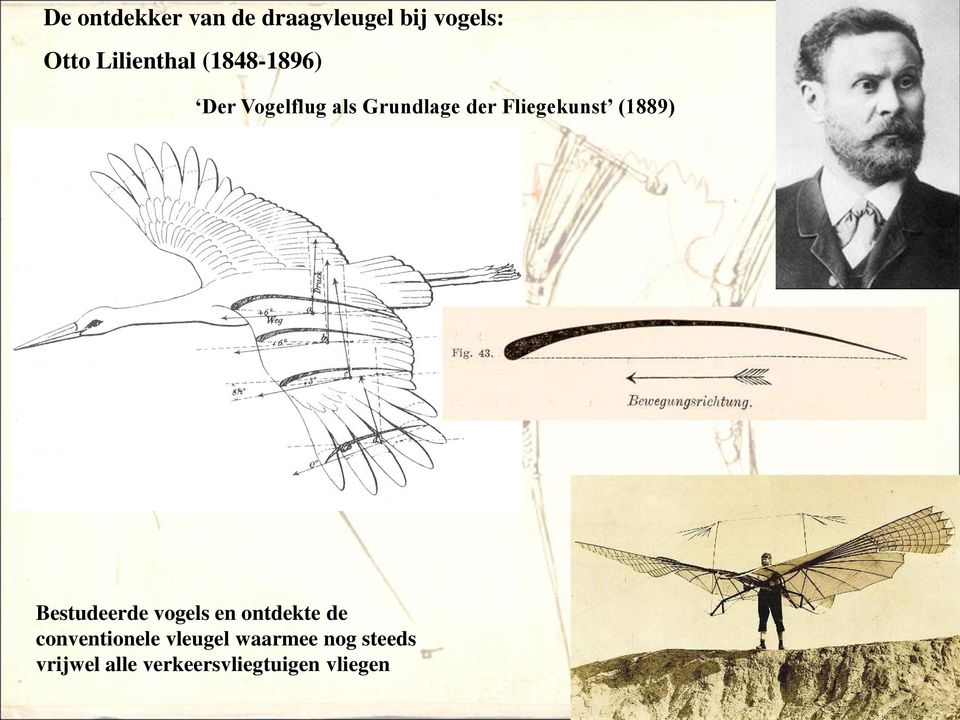 Fliegekunst (1889) Bestudeerde vogels en ontdekte de