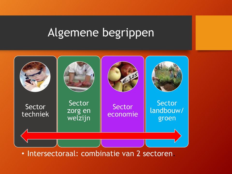 economie Sector landbouw/ groen