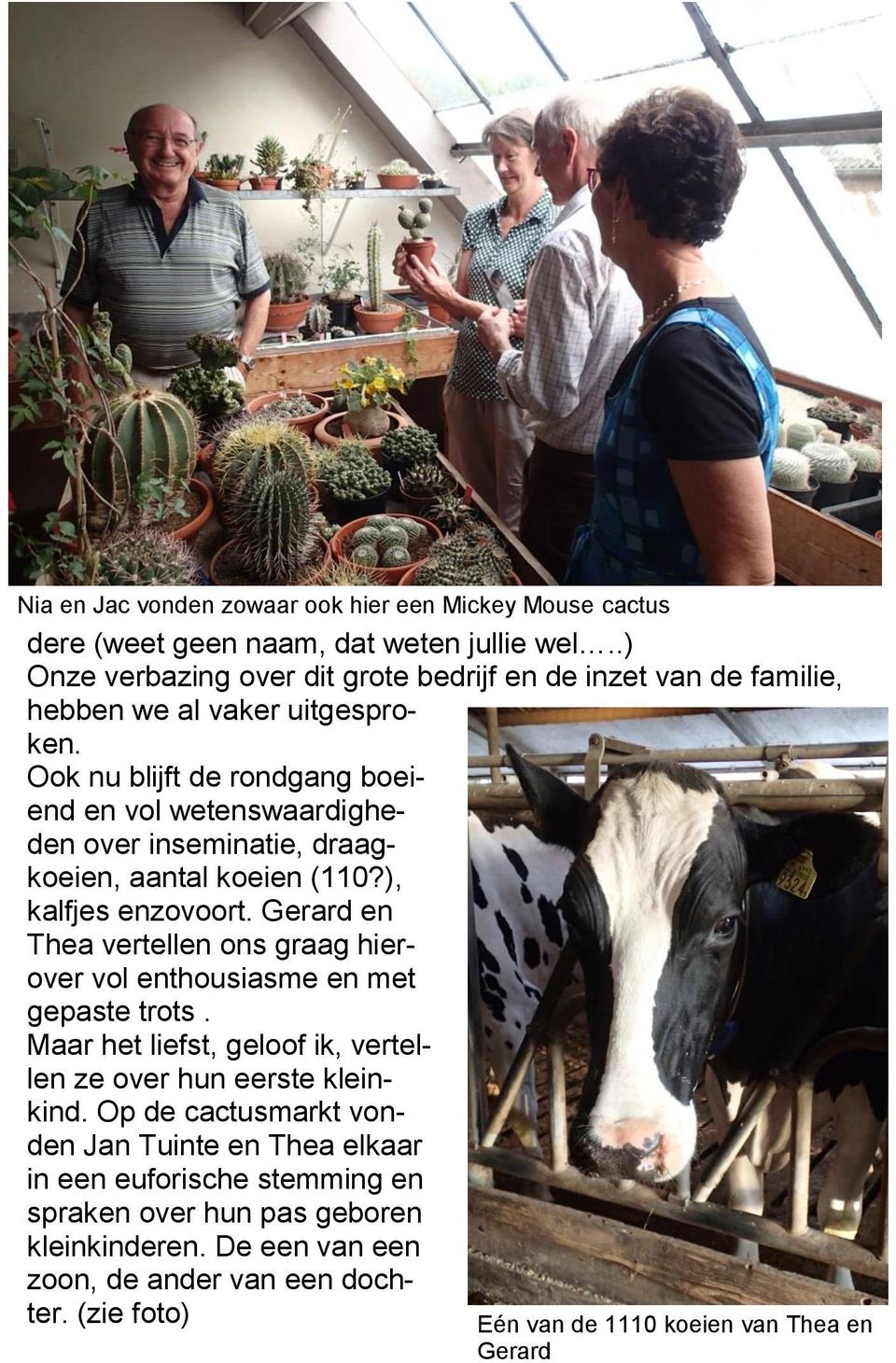 Ook nu blijft de rondgang boeiend en vol wetenswaardigheden over inseminatie, draagkoeien, aantal koeien (110?), kalfjes enzovoort.