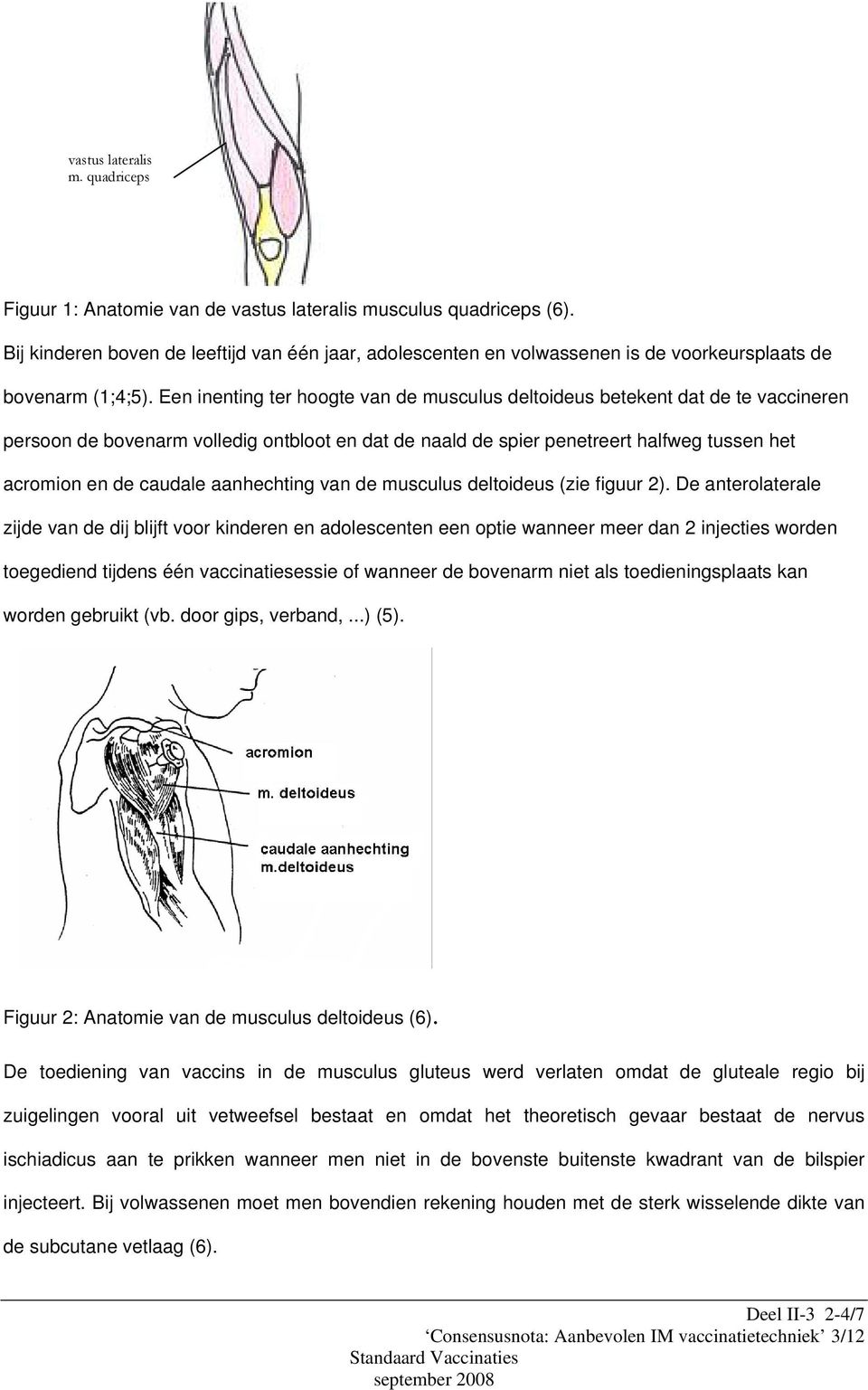 Een inenting ter hoogte van de musculus deltoideus betekent dat de te vaccineren persoon de bovenarm volledig ontbloot en dat de naald de spier penetreert halfweg tussen het acromion en de caudale