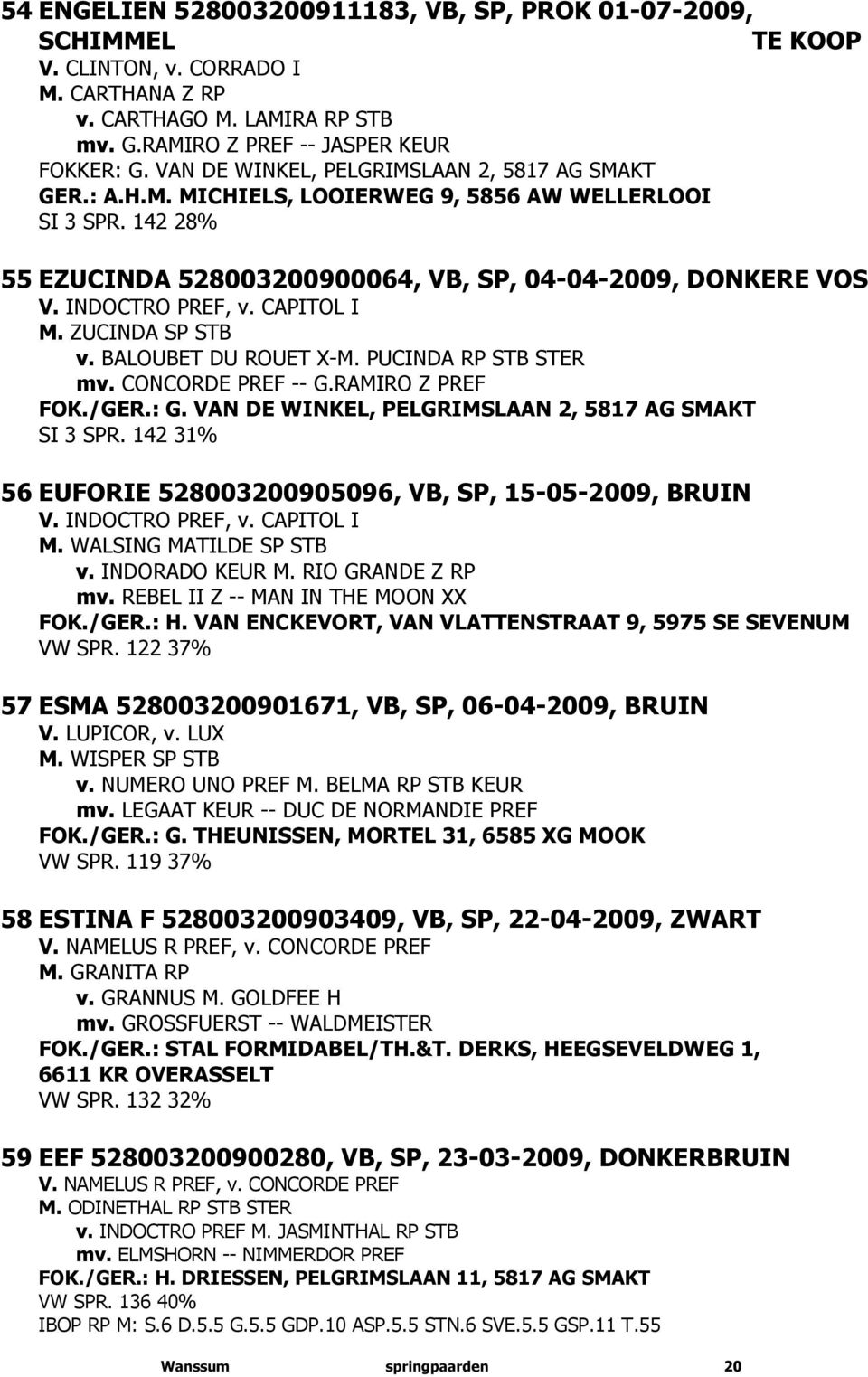 CAPITOL I M. ZUCINDA SP STB v. BALOUBET DU ROUET X-M. PUCINDA RP STB STER mv. CONCORDE PREF -- G.RAMIRO Z PREF FOK./GER.: G. VAN DE WINKEL, PELGRIMSLAAN 2, 5817 AG SMAKT SI 3 SPR.