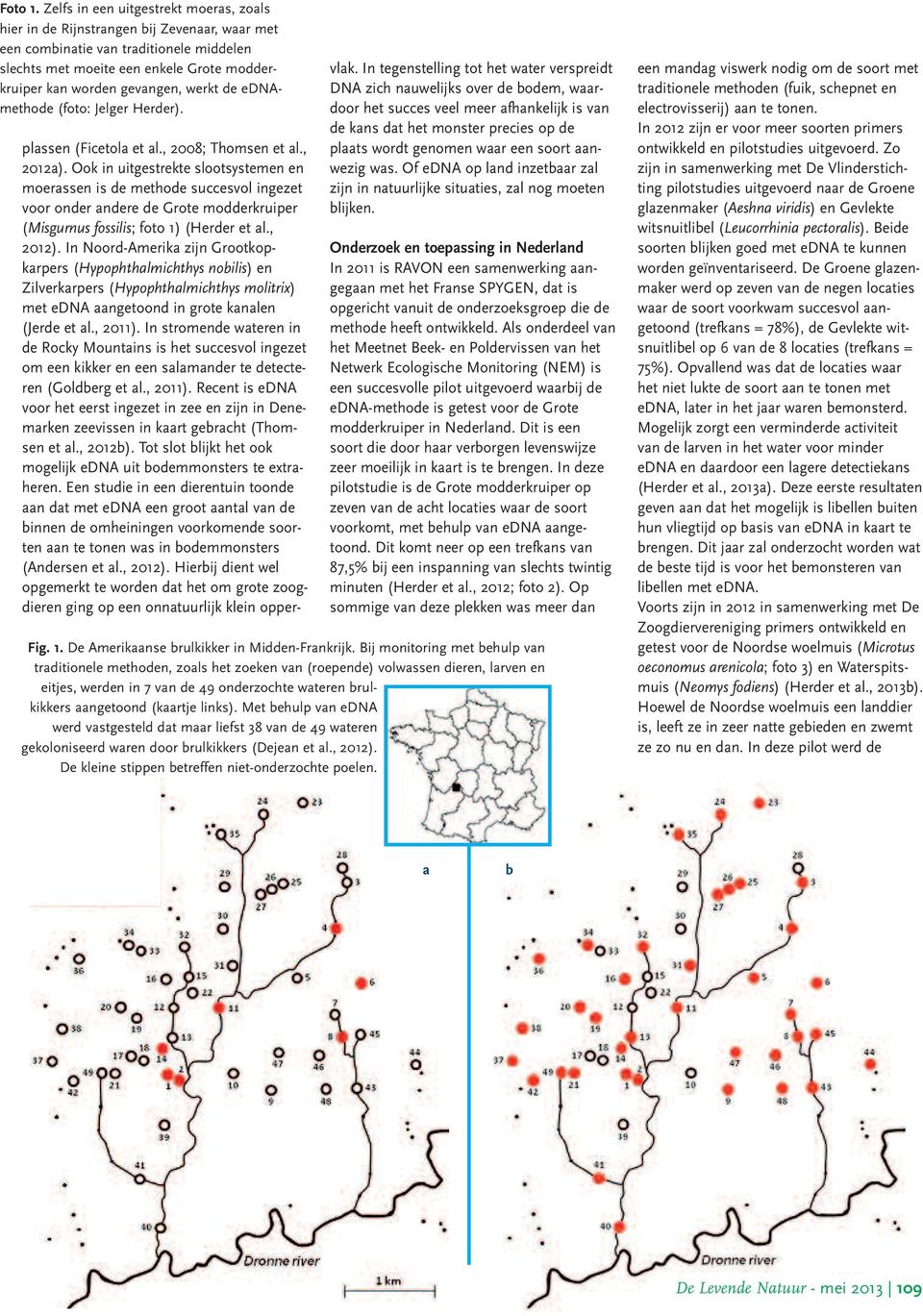 werkt de ednamethode (foto: Jelger Herder). plassen (Ficetola et al., 2008; Thomsen et al., 2012a).