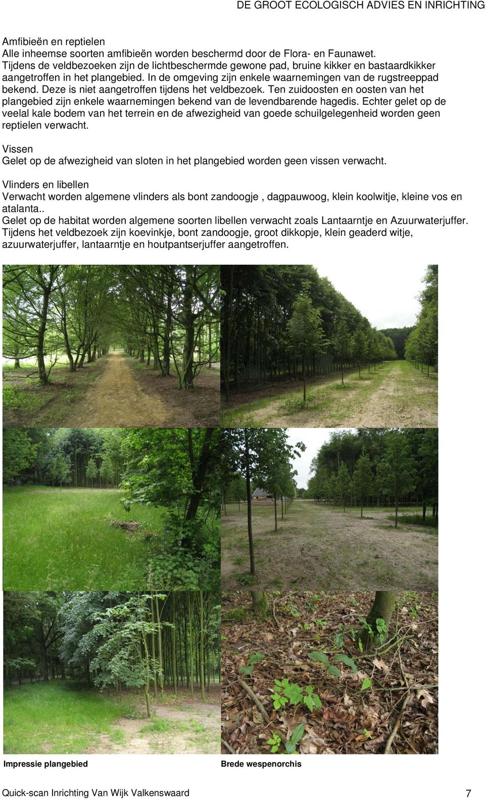 Deze is niet aangetroffen tijdens het veldbezoek. Ten zuidoosten en oosten van het plangebied zijn enkele waarnemingen bekend van de levendbarende hagedis.