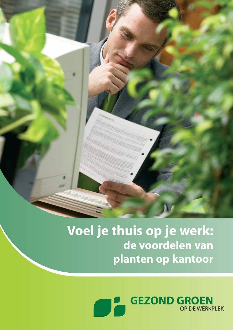 planten op kantoor