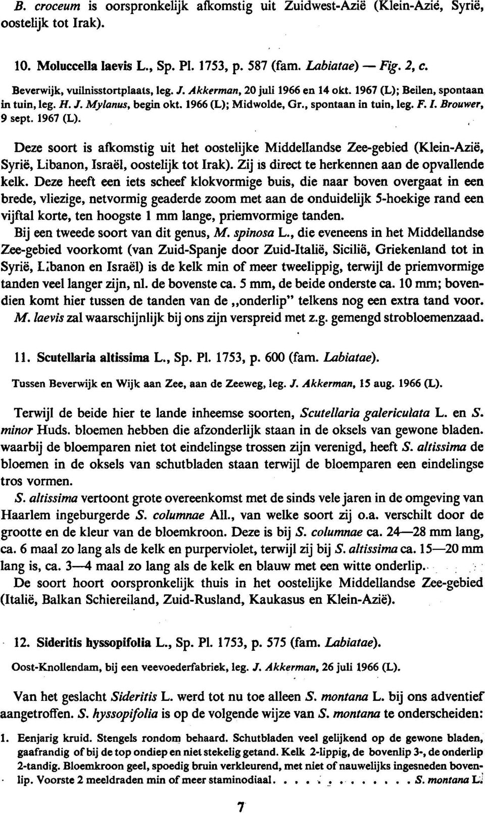 Beilen, spontaan 9 sept. 1967 (L). Deze soort is afkomstig uit het oostelijke Middellandse Zee-gebied (Klein-Azië, Syrië, Libanon, Israël, oostelijk tot Irak).