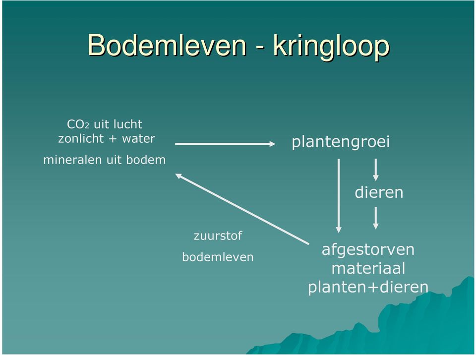 plantengroei dieren zuurstof