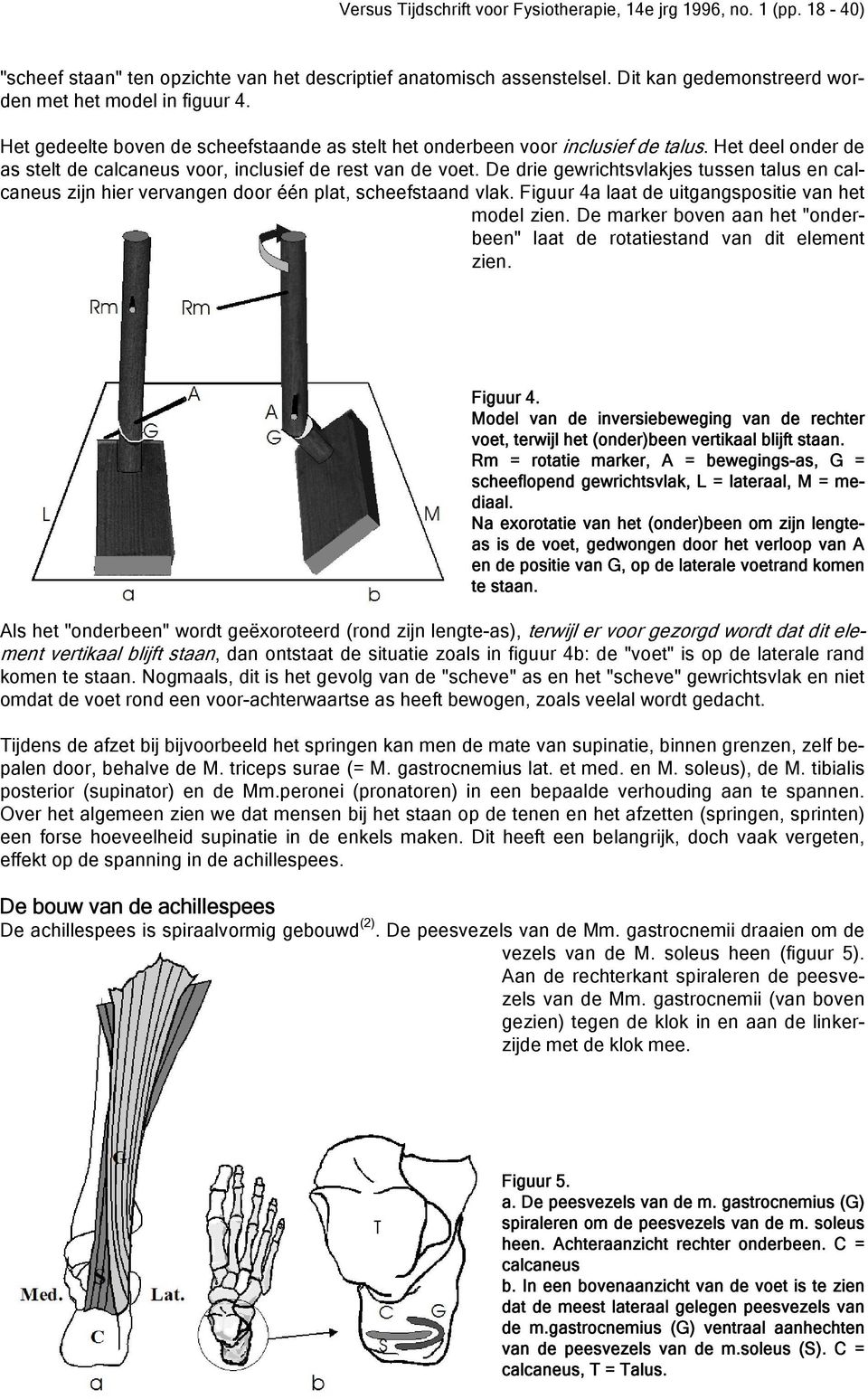 De drie gewrichtsvlakjes tussen talus en calcaneus zijn hier vervangen door één plat, scheefstaand vlak. Figuur 4a laat de uitgangspositie van het model zien.