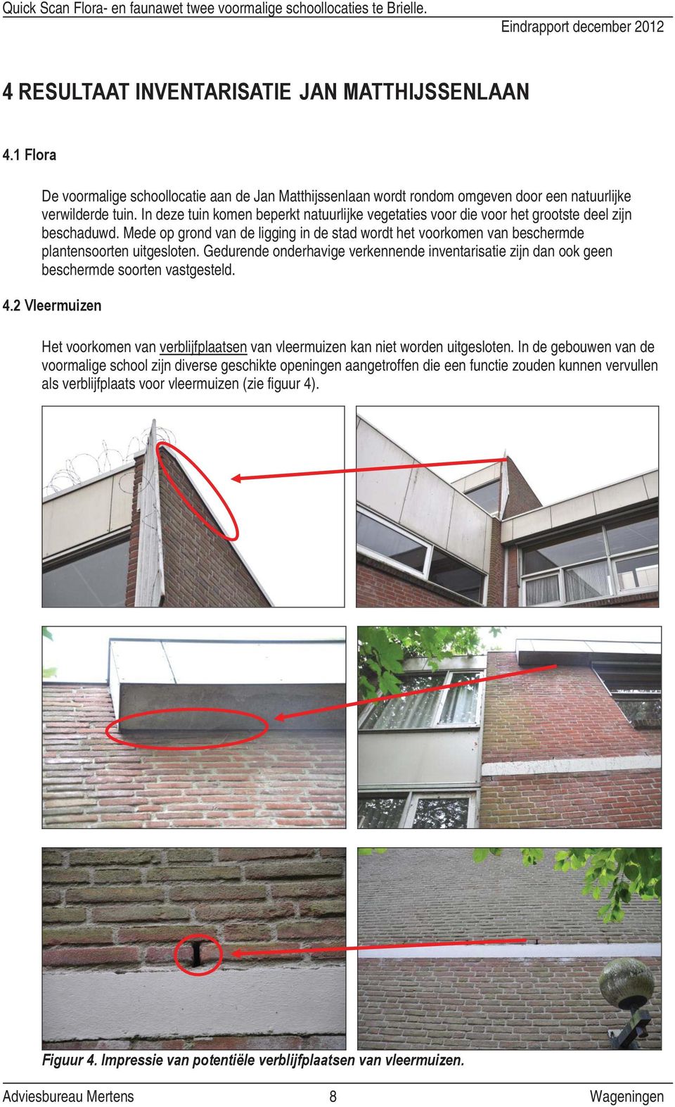 Mede op grond van de ligging in de stad wordt het voorkomen van beschermde plantensoorten uitgesloten.