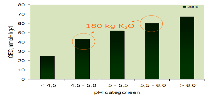 bouwvoor NO - 3 Ca (spoelt uit) Ca (spoelt uit) Ca (spoelt uit) H + Neutraliseren (zure) bodem door strooien kalk Kalk bestaat uit: CaCO 3 en MgCO 3 Na bekalken stijgt