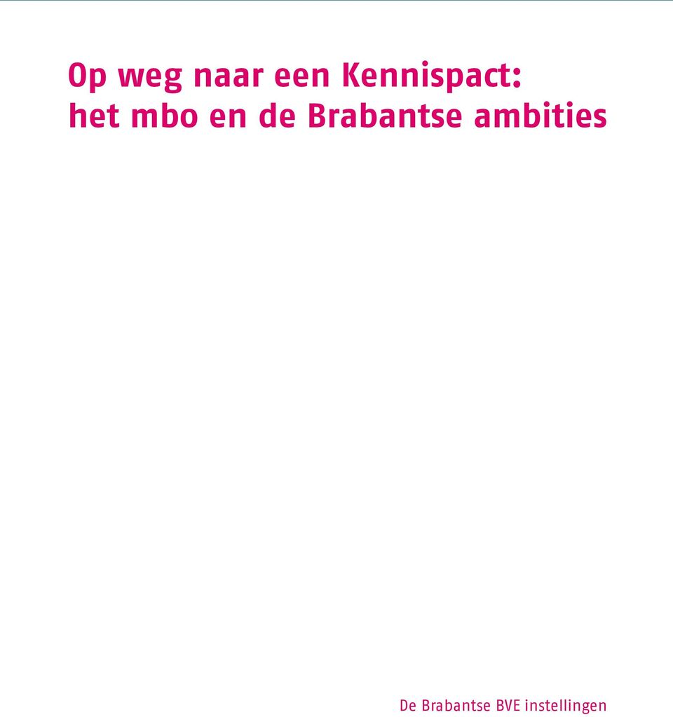 de Brabantse ambities