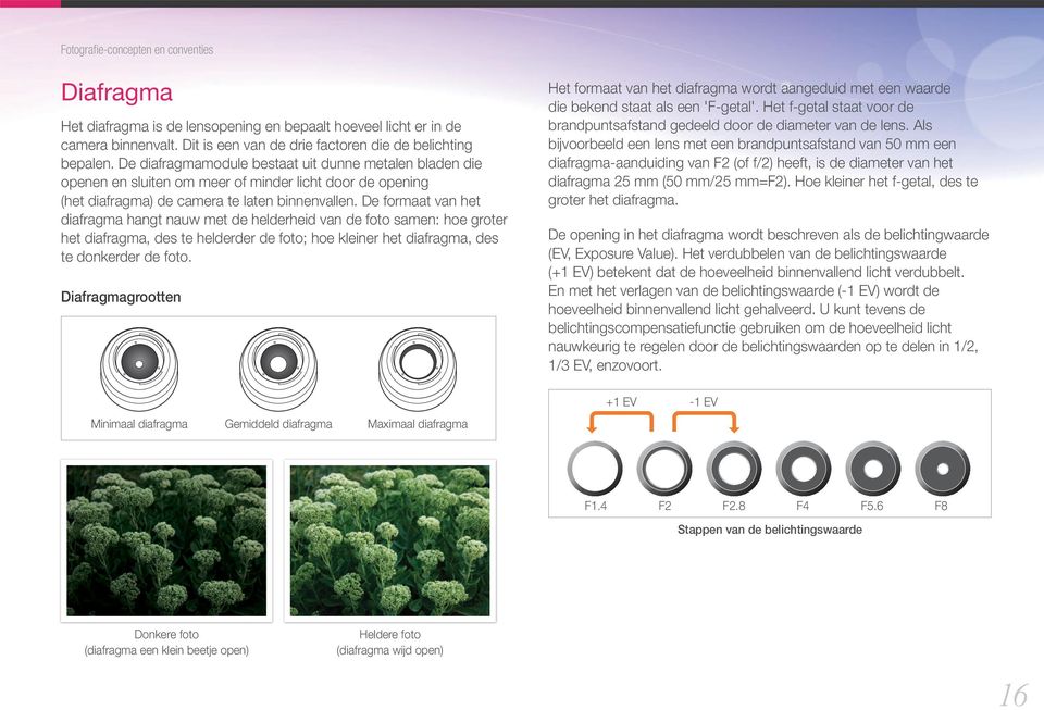 De formaat van het diafragma hangt nauw met de helderheid van de foto samen: hoe groter het diafragma, des te helderder de foto; hoe kleiner het diafragma, des te donkerder de foto.