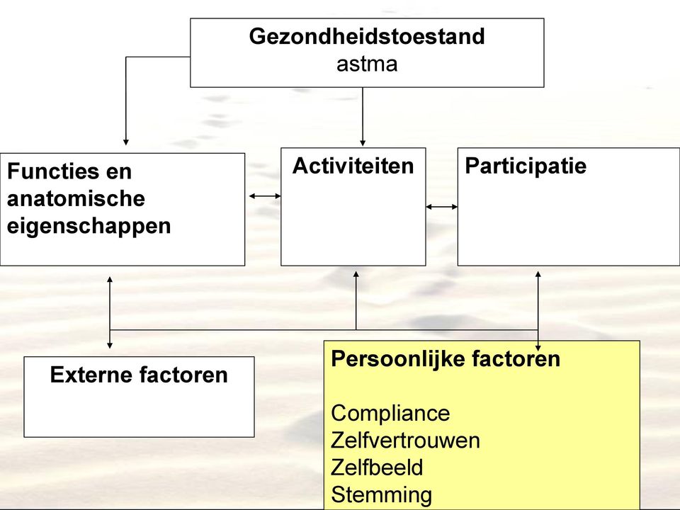 Participatie Externe factoren Persoonlijke