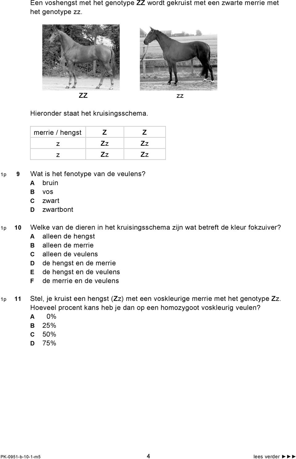 A bruin B vos C zwart D zwartbont 1p 10 Welke van de dieren in het kruisingsschema zijn wat betreft de kleur fokzuiver?