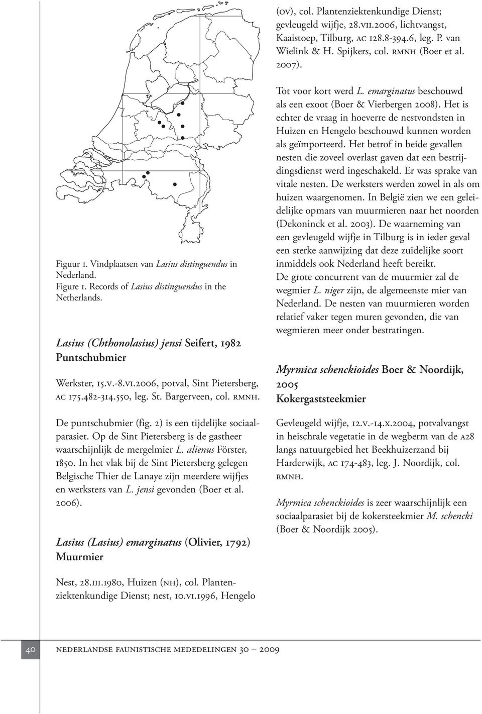 2006, potval, Sint Pietersberg, ac 175.482-314.550, leg. St. Bargerveen, col. rmnh. De puntschubmier (fig. 2) is een tijdelijke sociaalparasiet.