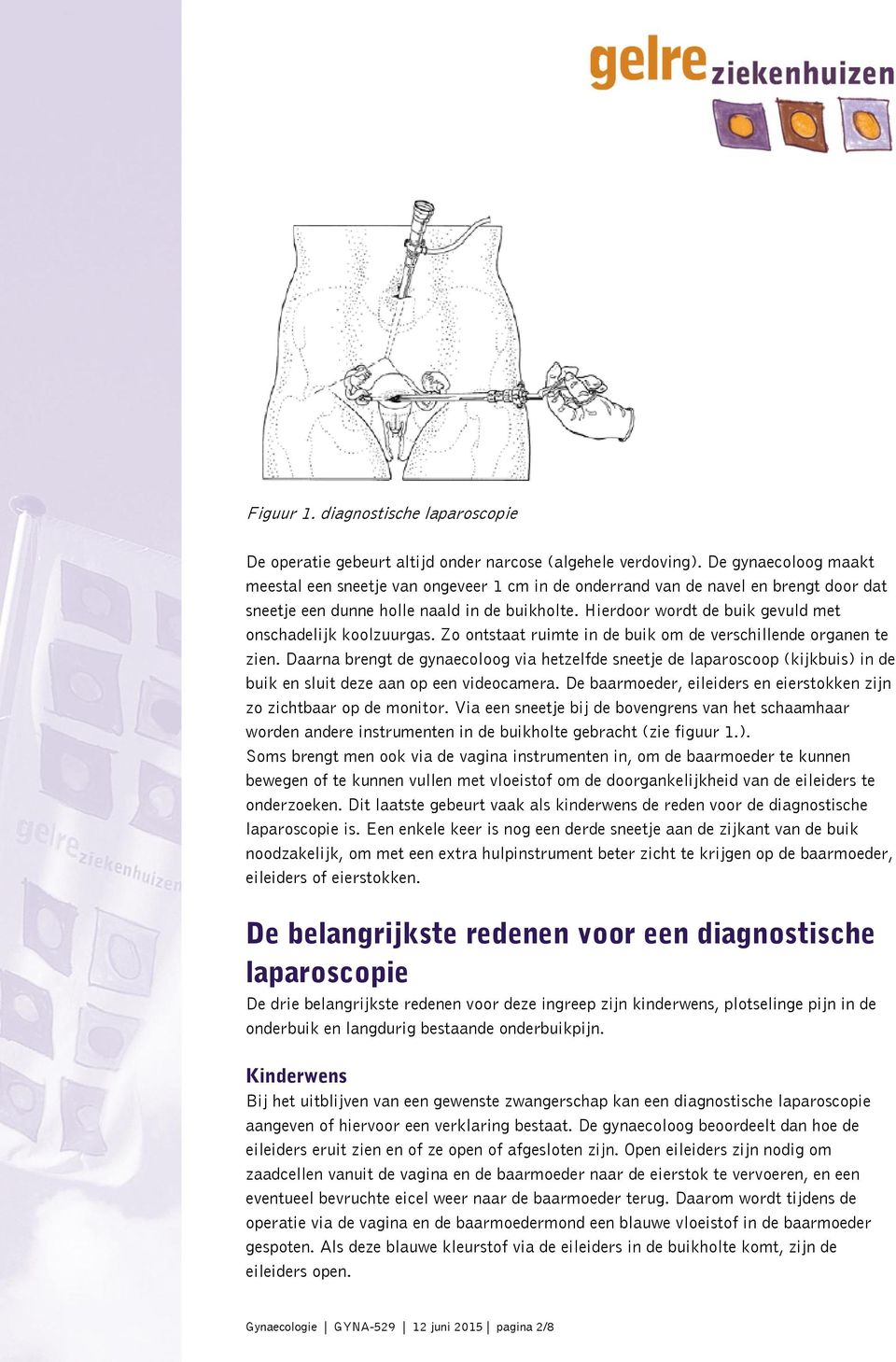 Hierdoor wordt de buik gevuld met onschadelijk koolzuurgas. Zo ontstaat ruimte in de buik om de verschillende organen te zien.