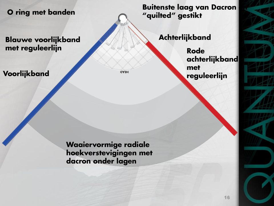 Achterlijkband Rode achterlijkband met reguleerlijn