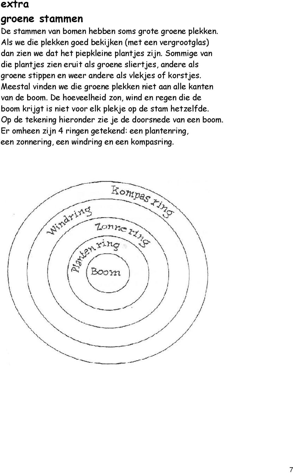 Sommige van die plantjes zien eruit als groene sliertjes, andere als groene stippen en weer andere als vlekjes of korstjes.