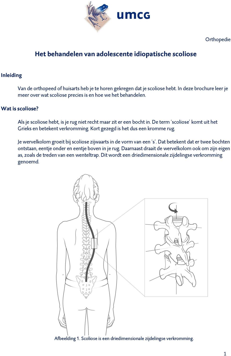 De term scoliose komt uit het Grieks en betekent verkromming. Kort gezegd is het dus een kromme rug. Je wervelkolom groeit bij scoliose zijwaarts in de vorm van een s.