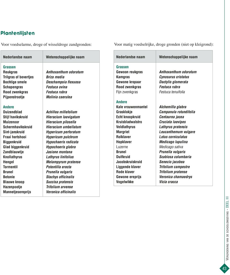 knoop Hazenpootje Mannetjesereprijs Anthoxanthum odoratum Briza media Deschampsia flexuosa Festuca ovina Festuca rubra Molinia caerulea Achillea millefolium Hieracium laevigatum Hieracium pilosella