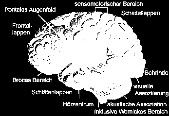 Woorden selecteren STAP 3: Selecteer nu 5 woorden die je zou willen gebruiken om de woordenschat uit te breiden en die voor leerlingen nuttig