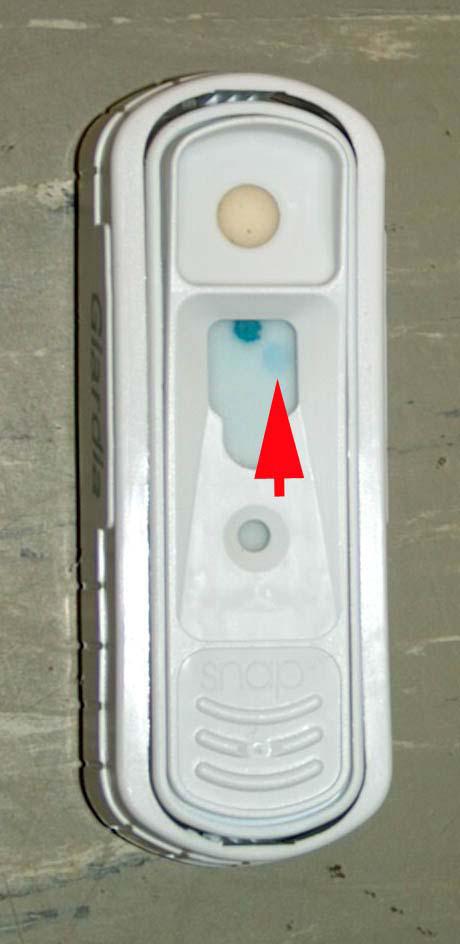 Links is een negatieve Giardia snaptest te zien. Rechts is een positieve Giardia snaptest te zien, er zijn twee blauwe stippen te zien en de rode pijl wijst de positieve Giardia stip aan.