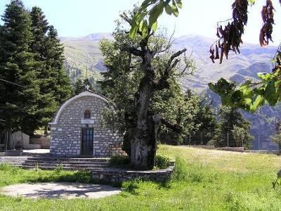 Dagtocht 5: Oude cultuur en een charmant kerkje Hoogtepunten: in Agnanda watermolen, nerotrivio, viltklopper en locaal museum; onderweg kerkje met prachtig uitzicht Je rijdt naar het dorp Agnanda en