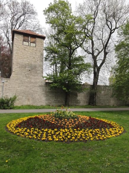 Al gauw daarna komen we aan bij de stadsmuur van Mühlhausen.