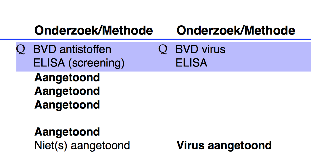 Praktijkvoorbeeld III