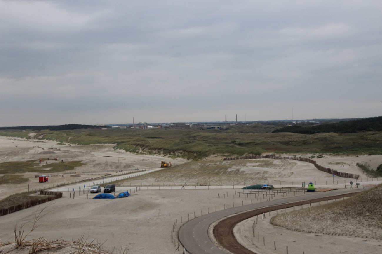 Analyse van ecologische knelpunten en maatregelen Generieke factoren Ingrepen in de geomorfologie door de vastlegging van verstuivende gebiedsdelen ten behoeve van kustveiligheid zorgt voor