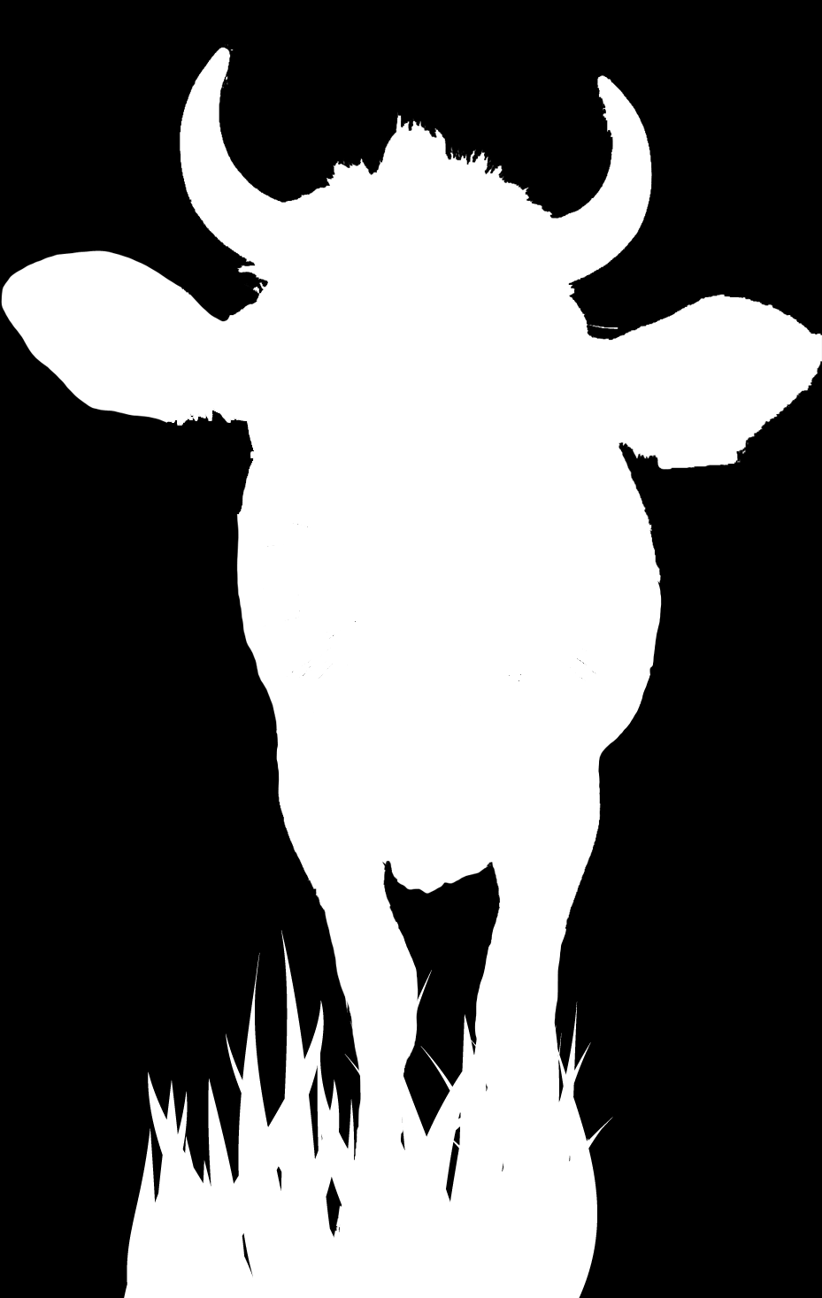 Namen: OPDRACHTKAART 6 Gezondheid LES 2: Onderzoek op de melkveehouderij Kies 1 koe. Bekijk deze koe 2 minuten. Eén kind telt steeds hardop tot 10, heel langzaam.