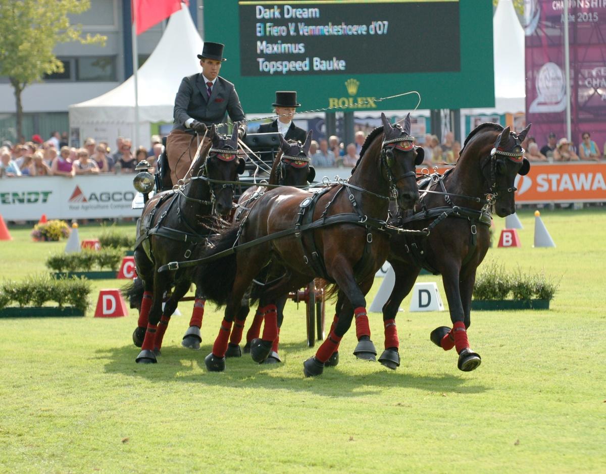 Sportpaarden EAFS keuring 24 september 2016,