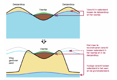 verstuift niet. Door de verstuiving treedt een soort inversie van het landschap op. Het voormalig laag gelegen deel (het veentje) ligt na de verstuiving hoog in het landschap.