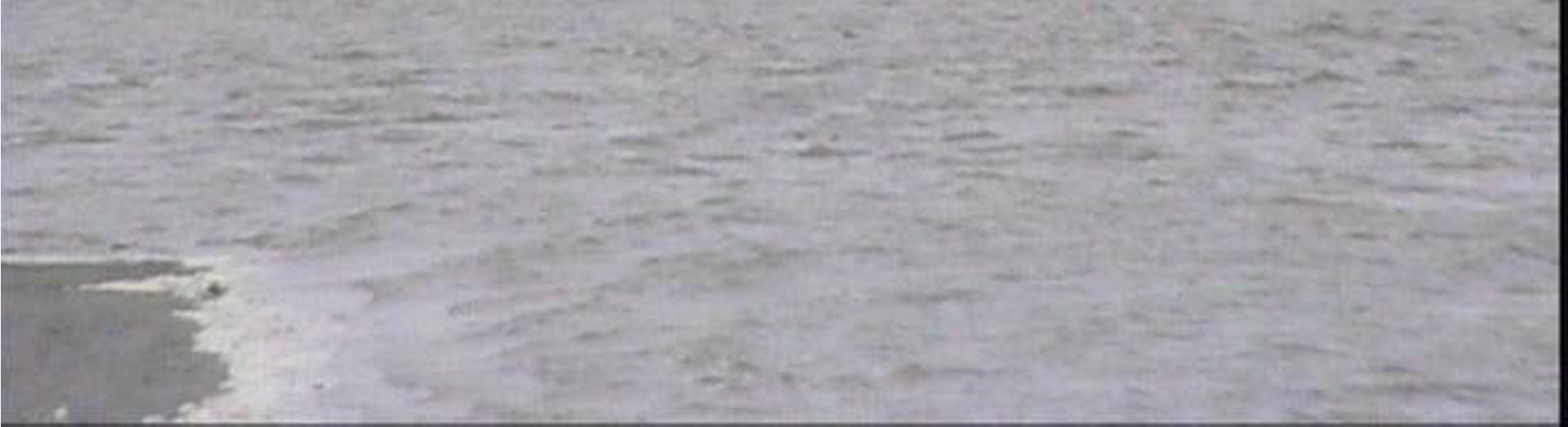 Figuur 5.11. Verstoring van zeehonden als gevolg van een jacht dat op 27 september 2013 om 10:55 h tussen de zandplaten van de Hond en Paap doorvoer.