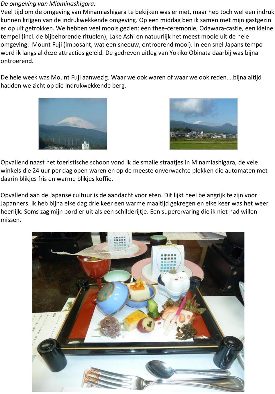 de bijbehorende rituelen), Lake Ashi en natuurlijk het meest mooie uit de hele omgeving: Mount Fuji (imposant, wat een sneeuw, ontroerend mooi).