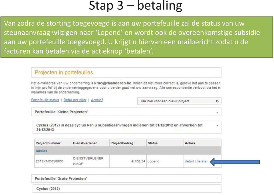 overeenkomstige subsidie aan uw portefeuille toegevoegd.