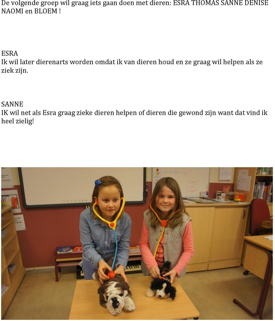 ESRA Ik wil later dierenarts worden omdat ik van dieren houd en ze graag wil