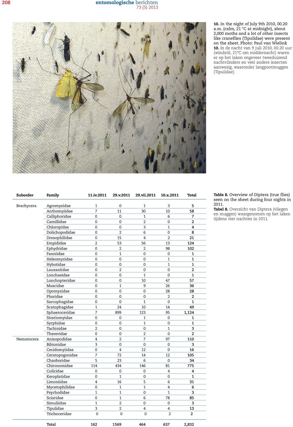 20 uur (windstil, 21 C om middernacht) waren er op het laken ongeveer tweeduizend nachtvlinders en veel andere insecten aanwezig, waaronder langpootmuggen (Tipulidae). Suborder Family 11.iv.2011 29.