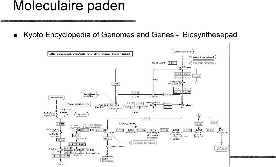 of Genomes and