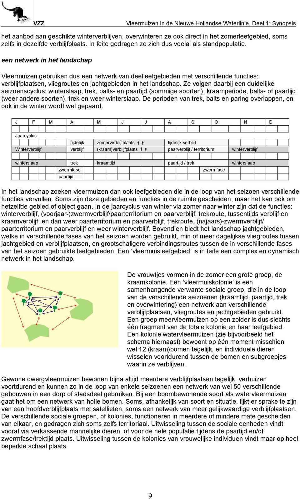 een netwerk in het landschap Vleermuizen gebruiken dus een netwerk van deelleefgebieden met verschillende functies: verblijfplaatsen, vliegroutes en jachtgebieden in het landschap.