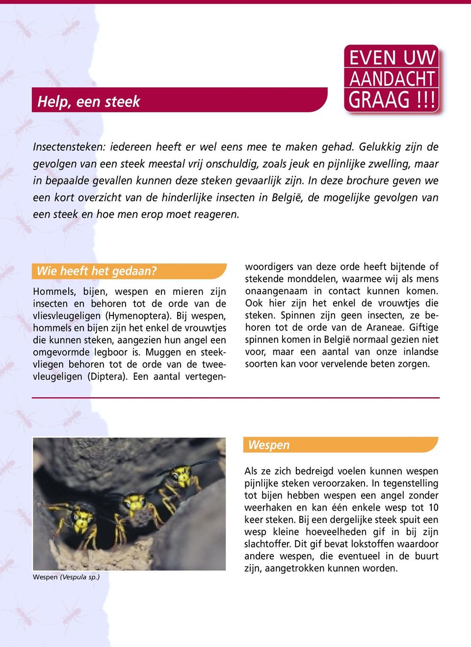 In deze brochure geven we een kort overzicht van de hinderlijke insecten in België, de mogelijke gevolgen van een steek en hoe men erop moet reageren. Wie heeft het gedaan?
