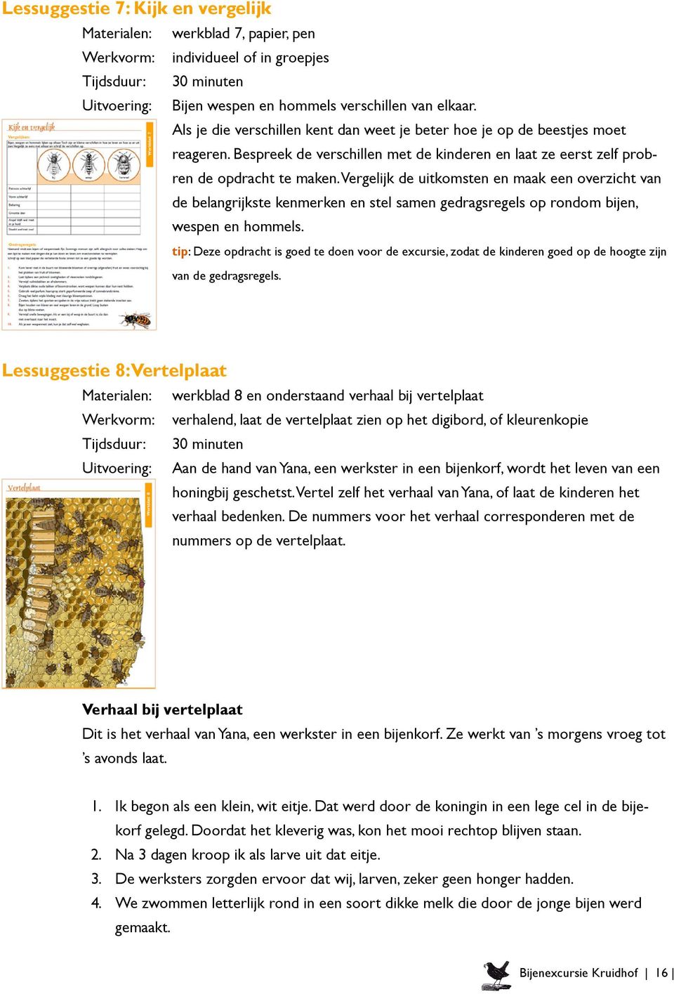 Vergelijk de uitkomsten en maak een overzicht van de belangrijkste kenmerken en stel samen gedragsregels op rondom bijen, wespen en hommels.